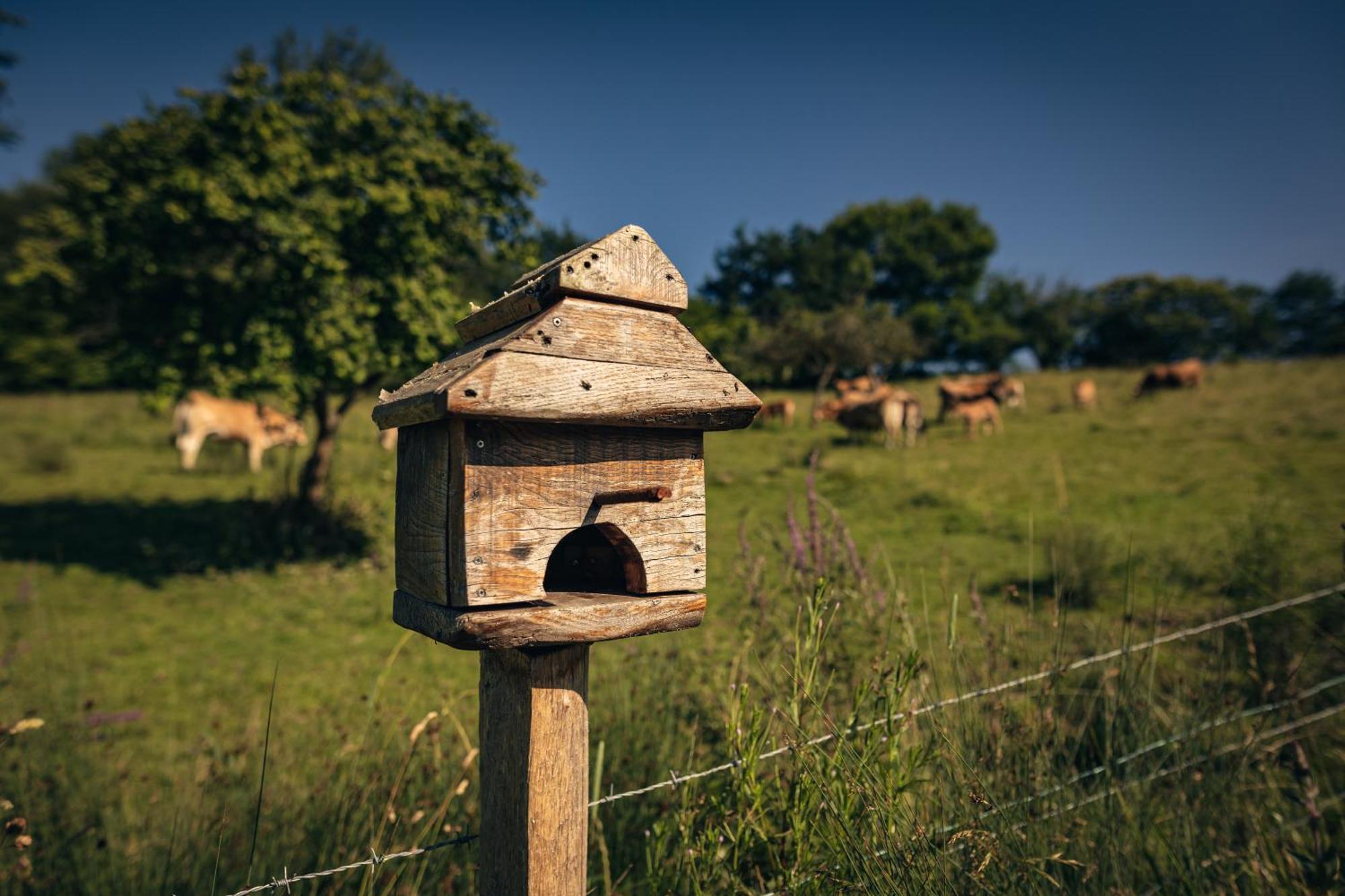 Finca La Naguada Casa Rural En Asturias Beloncio Екстер'єр фото