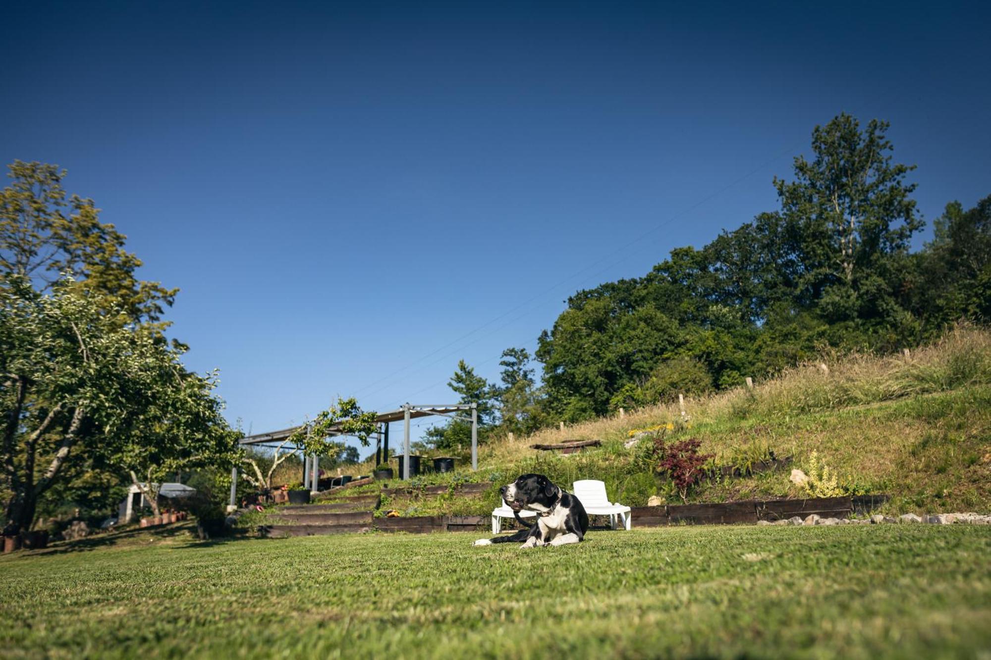 Finca La Naguada Casa Rural En Asturias Beloncio Екстер'єр фото