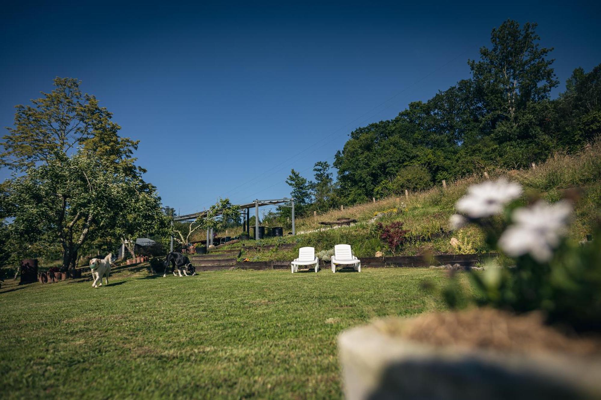 Finca La Naguada Casa Rural En Asturias Beloncio Екстер'єр фото