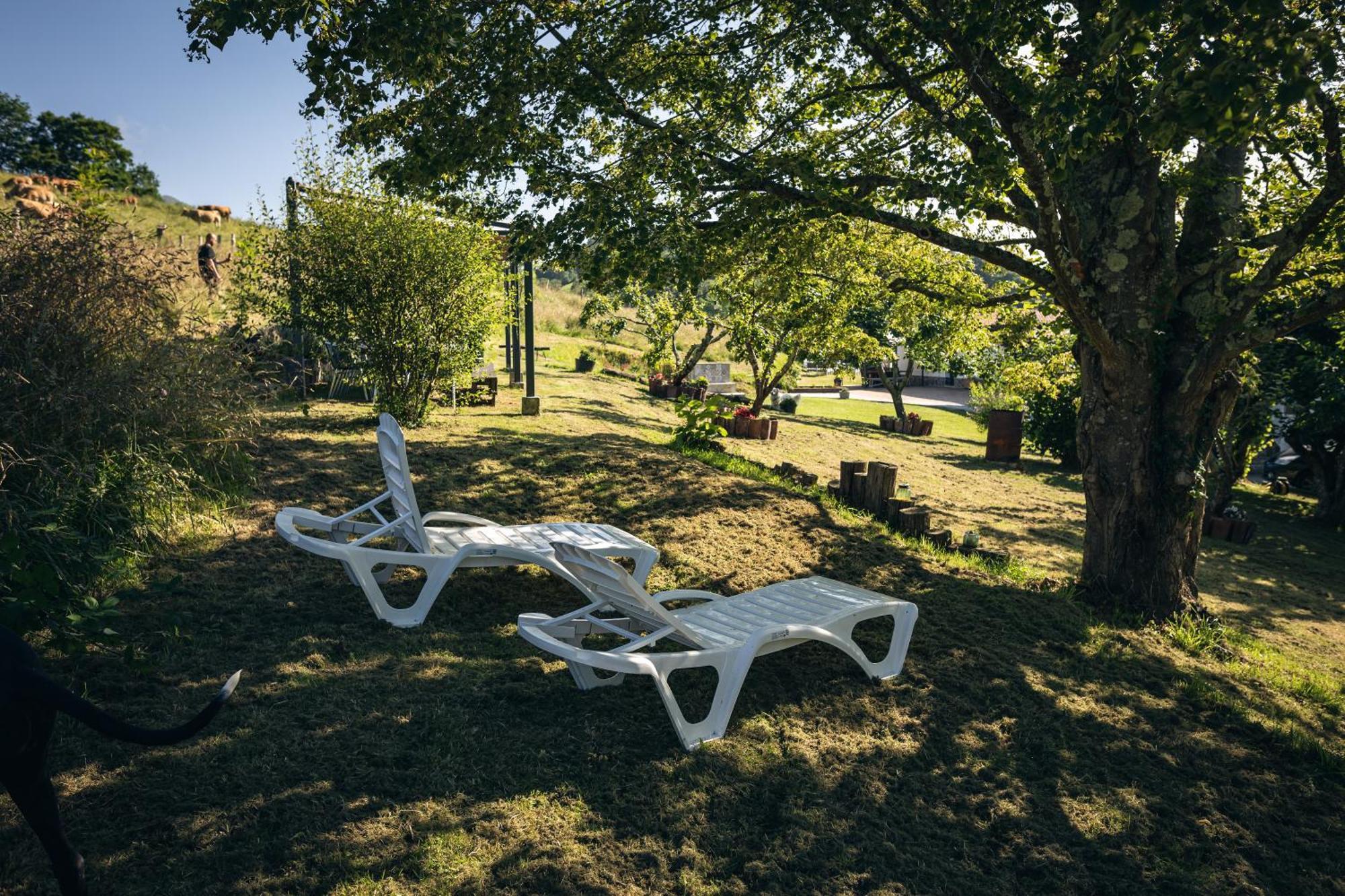 Finca La Naguada Casa Rural En Asturias Beloncio Екстер'єр фото