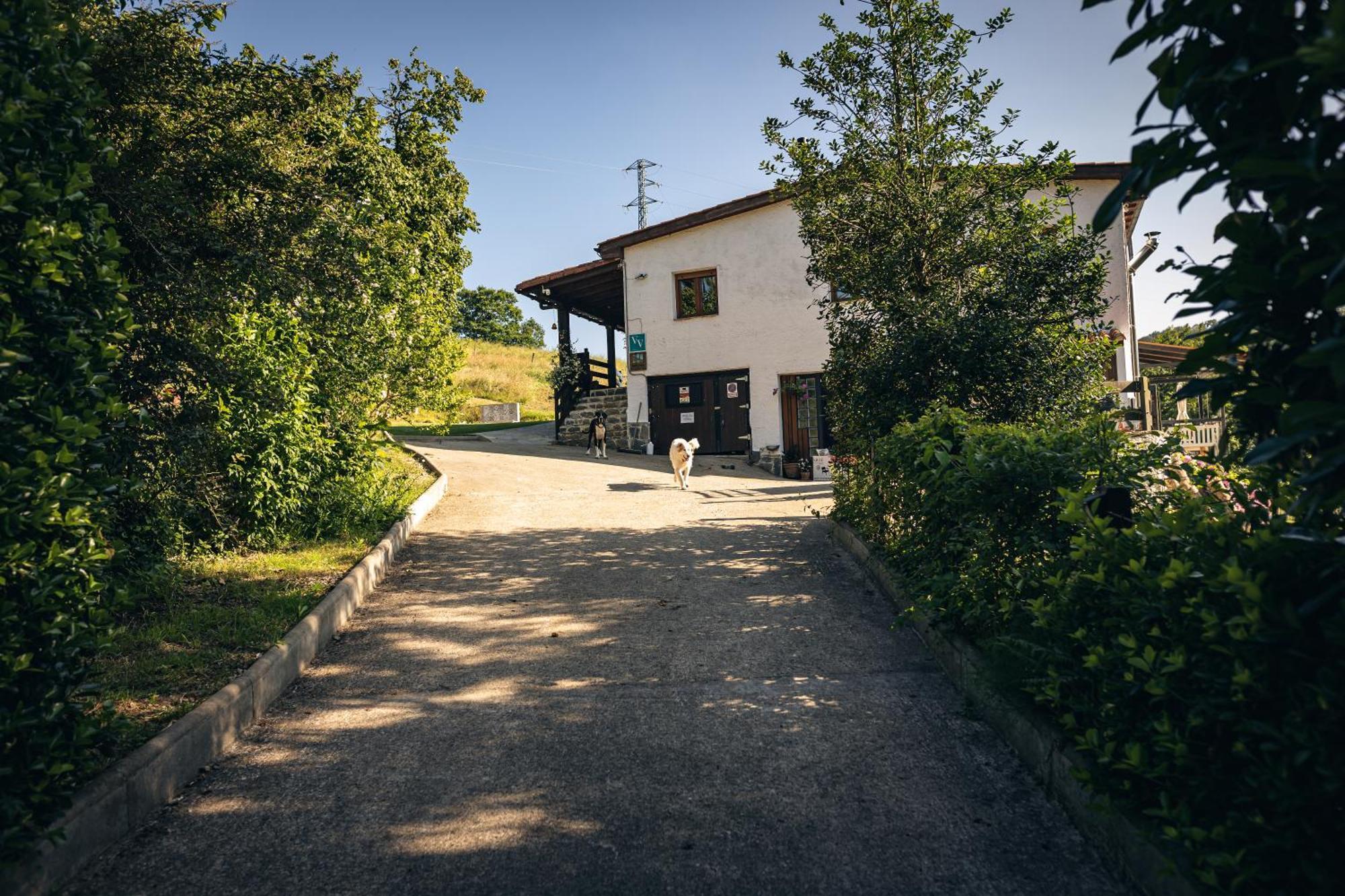 Finca La Naguada Casa Rural En Asturias Beloncio Екстер'єр фото