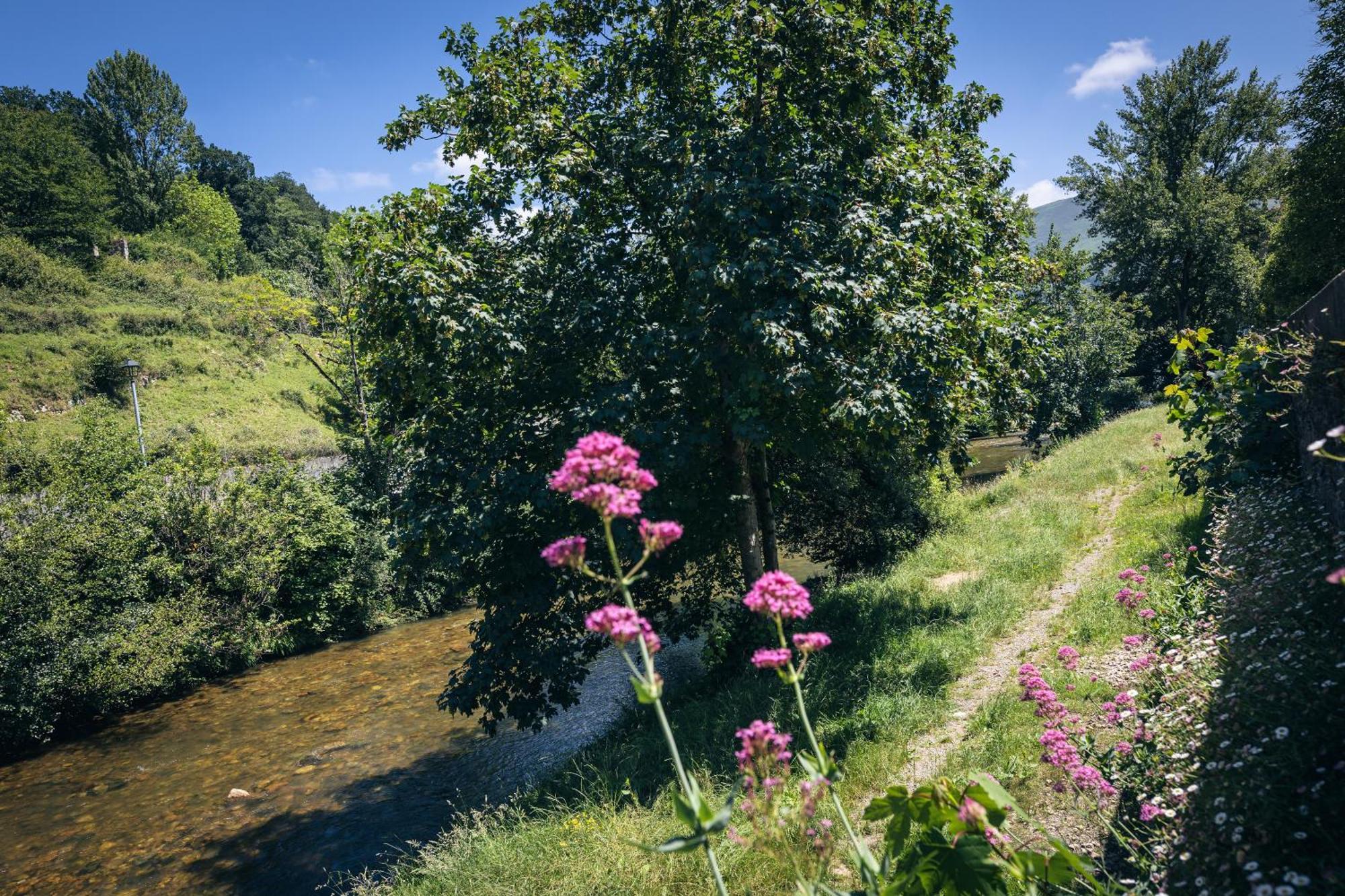 Finca La Naguada Casa Rural En Asturias Beloncio Екстер'єр фото